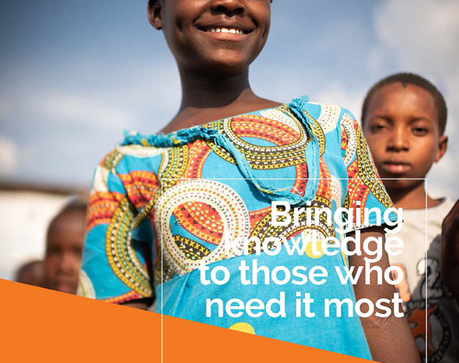img couv annual report bsf